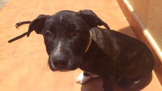 Casiu 3 meses!:D Casiu 3 meses!:D